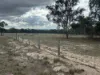 Lot 42 Ravensmoor Road, PASSCHENDAELE QLD 4352-Image