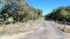 Lot 45 106 Todman Road (Coonabidgee), Gingin, WA 6503-Image