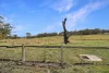 Lot 5 & 9 Scott Street, Cathcart, NSW 2632-Image