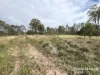 Lot 5 Kunioon Road, Kunioon, Qld 4615-Image