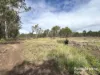 Lot 5 Kunioon Road, Kunioon, Qld 4615-Image