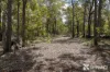Lot 5 Oro Road, Teesdale, WA 6213-Image