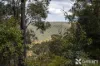 Lot 5 Oro Road, Teesdale, WA 6213-Image