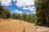 Lot 5 Oro Road, Teesdale, WA 6213-Image