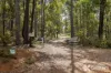 Lot 5 Oro Road, Teesdale, WA 6213-Image