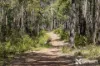Lot 5 Oro Road, Teesdale, WA 6213-Image