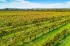 Lot 50 Gaffney Road, Willunga, SA 5172-Image