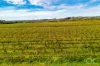 Lot 50 Gaffney Road, Willunga, SA 5172-Image
