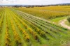 Lot 50 Gaffney Road, Willunga, SA 5172-Image