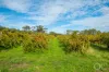 Lot 50 Gaffney Road, Willunga, SA 5172-Image