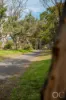 Lot 50 Gaffney Road, Willunga, SA 5172-Image