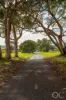 Lot 50 Gaffney Road, Willunga, SA 5172-Image
