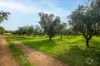 Lot 50 Gaffney Road, Willunga, SA 5172-Image