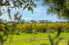 Lot 50 Gaffney Road, Willunga, SA 5172-Image