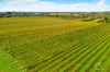 Lot 50 Gaffney Road, Willunga, SA 5172-Image