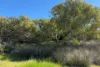 Lot 51 Northampton Port Gregory Road, Yallabatharra, WA 6535