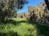Lot 51 Northampton Port Gregory Road, Yallabatharra, WA 6535-Image