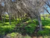 Lot 51 Northampton Port Gregory Road, Yallabatharra, WA 6535-Image