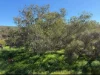 Lot 51 Northampton Port Gregory Road, Yallabatharra, WA 6535-Image