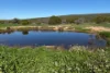 Lot 51 Northampton Port Gregory Road, Yallabatharra, WA 6535-Image