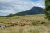 Lot 52 Lake, Moogerah QLD 4309-Image