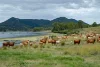 Lot 52 Lake, Moogerah QLD 4309-Image