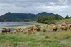 Lot 52 Lake Moogerah Road, Moogerah, Qld 4309-Image