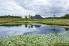 Lot 52 Lake Moogerah Road, Moogerah, Qld 4309-Image