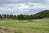 Lot 52 Lake Moogerah Road, Moogerah, Qld 4309-Image