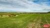 Lot 55 Starling Road, Bowes, WA 6535-Image