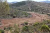 Lot 6 Aplin Road, Bracewell QLD 4695-Image