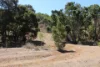 Lot 6 Aplin Road, Bracewell QLD 4695-Image
