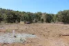 Lot 6 Aplin Road, Bracewell QLD 4695-Image