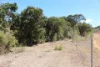 Lot 6 Aplin Road, Bracewell QLD 4695-Image