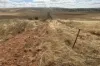 Lot 65 Forrester Road, Mount Erin, WA 6532-Image