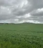 Lot 65 Forrester Road, Mount Erin, WA 6532-Image