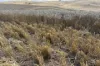 Lot 65 Forrester Road, Mount Erin, WA 6532-Image