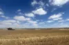 Lot 65 Forrester Road, Mount Erin, WA 6532-Image