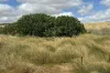 Lot 65 Forrester Road, Mount Erin, WA 6532-Image