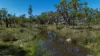 Lot 66 Glen Hazel Road, Inverell NSW 2360-Image