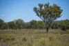 Lot 66 Glen Hazel Road, Inverell NSW 2360-Image