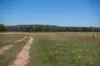 Lot 66 Glen Hazel Road, Inverell NSW 2360-Image