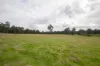 Lot 7296 Muir Highway (Upper Warren), Manjimup, WA 6258-Image