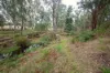 Lot 7296 Muir Highway (Upper Warren), Manjimup, WA 6258-Image