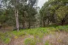 Lot 7296 Muir Highway (Upper Warren), Manjimup, WA 6258-Image