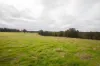 Lot 7296 Muir Highway (Upper Warren), Manjimup, WA 6258-Image