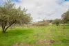 Lot 7296 Muir Highway (Upper Warren), Manjimup, WA 6258-Image