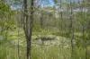 Lot 76 Rice Road, Lyons, Qld 4124-Image