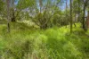 Lot 76 Rice Road, Lyons, Qld 4124-Image