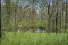 Lot 76 Rice Road, Lyons, Qld 4124-Image